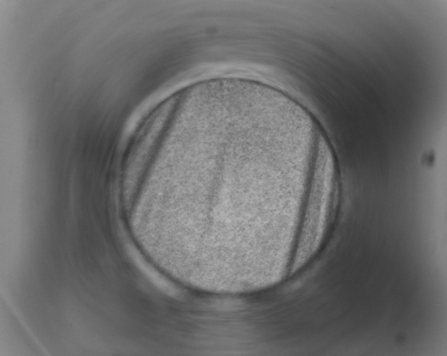X0000113861525200910221430