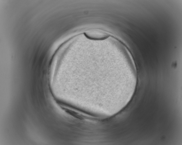 X0000113861526200910221430