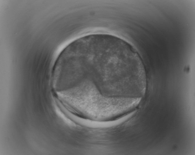 X0000113861527200910221430