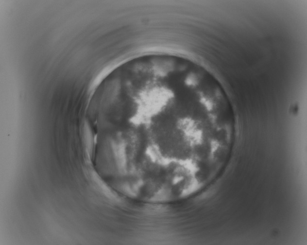 X0000113861529200910221430