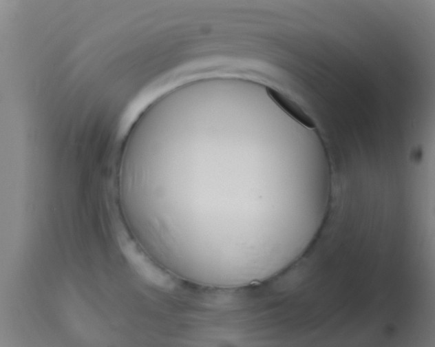 X0000113861530200910221430