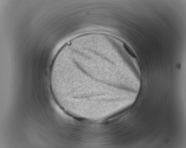 X0000113861531200910221430