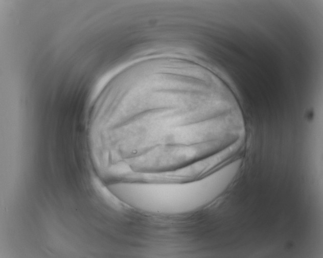 X0000113861532200910221430