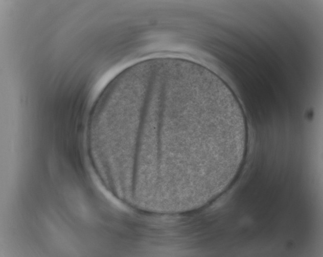 X0000113861533200910221430