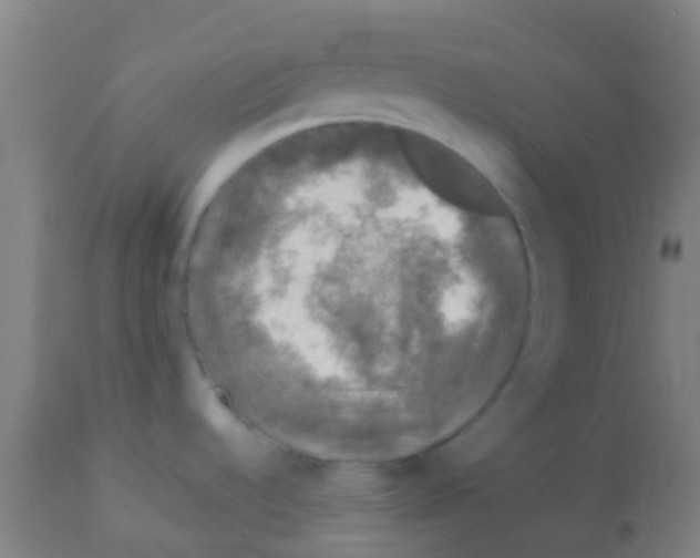 X0000113861536200910221430