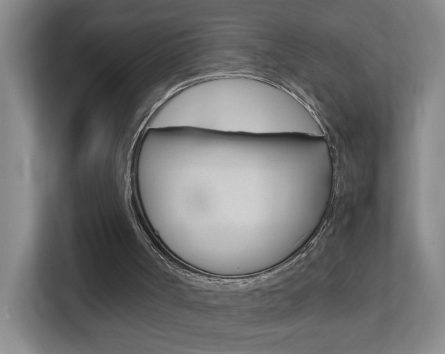 X0000113870002200909241015