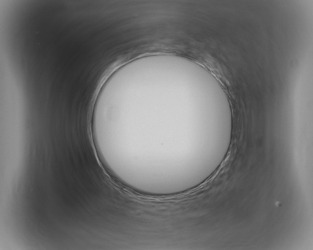 X0000113870003200909241015