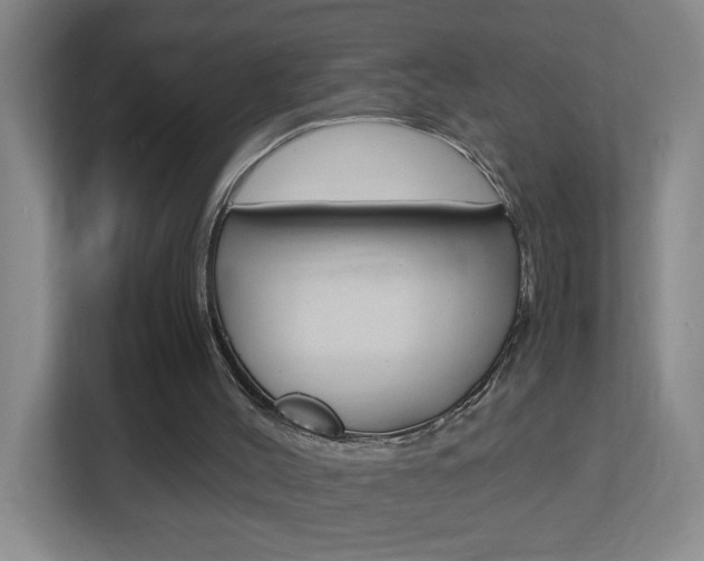 X0000113870004200909241015
