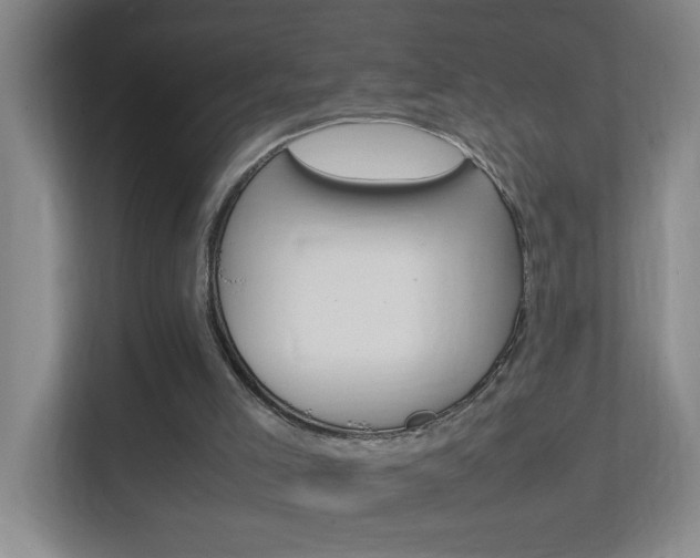 X0000113870005200909241015