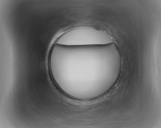 X0000113870006200909241015