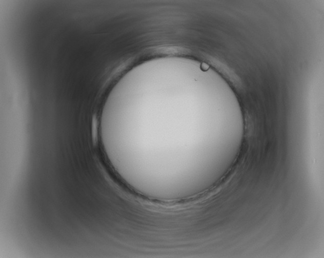 X0000113870014200909241015