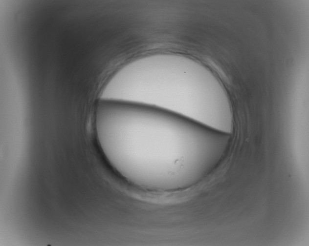 X0000113870023200909241015