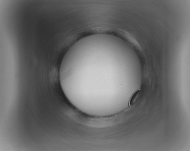 X0000113870025200909241015