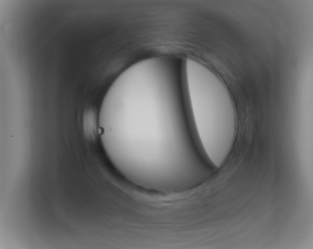X0000113870028200909241015