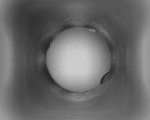 X0000113870029200909241015