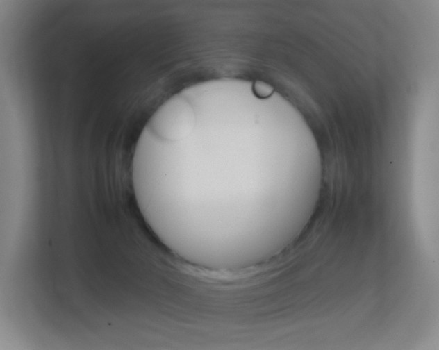 X0000113870030200909241015