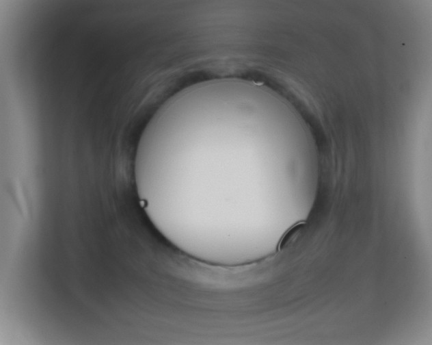 X0000113870035200909241015