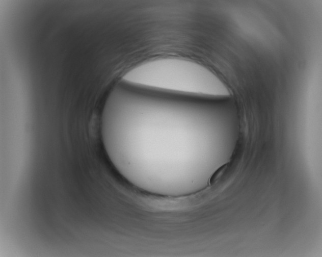 X0000113870036200909241015