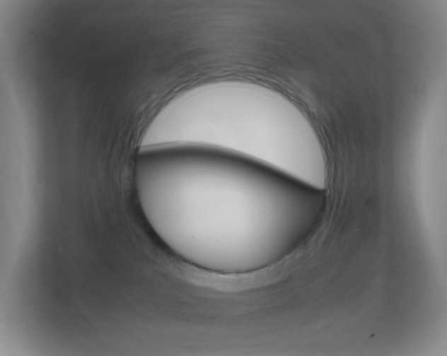 X0000113870039200909241015