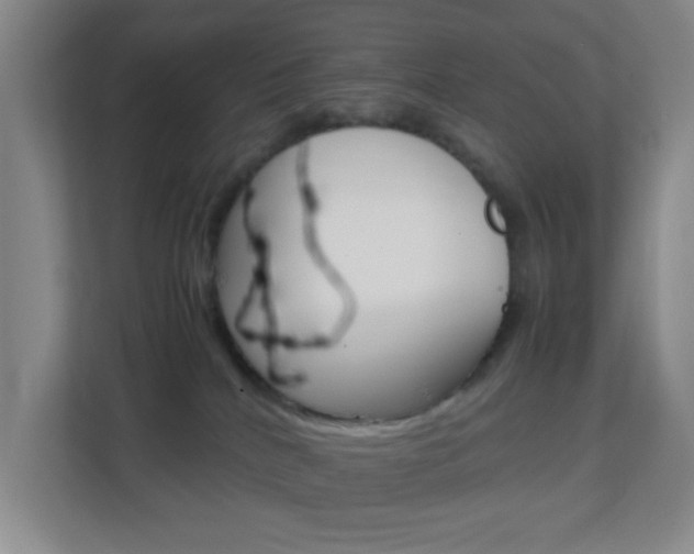 X0000113870040200909241015