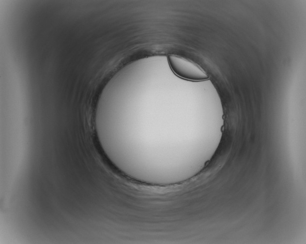 X0000113870044200909241015