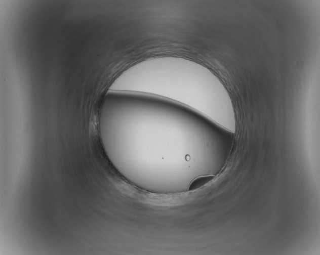 X0000113870045200909241015