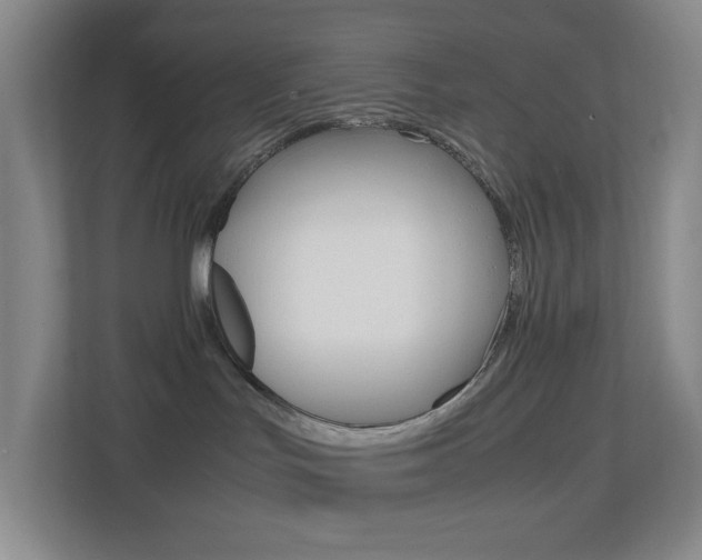 X0000113870047200909241015