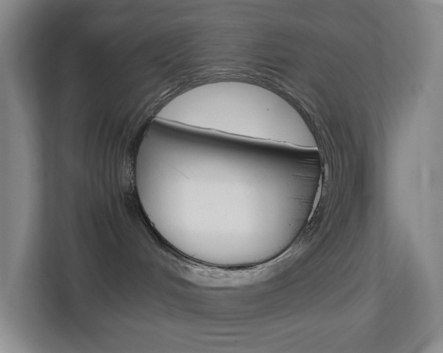 X0000113870048200909241015