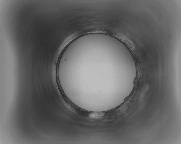 X0000113870051200909241014