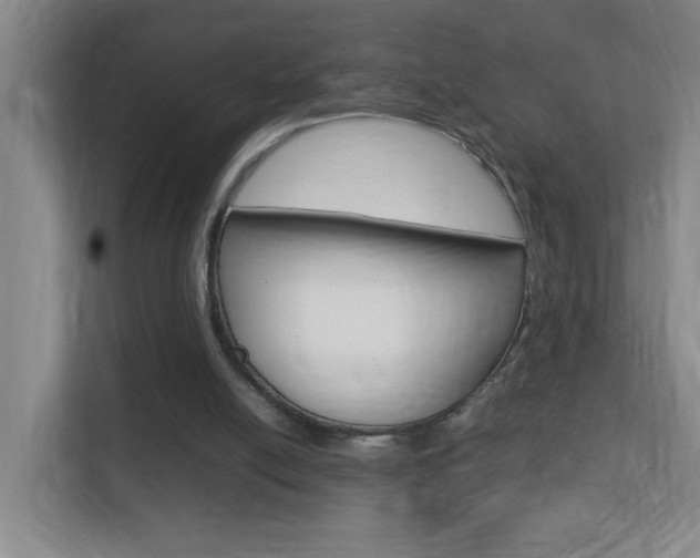 X0000113870054200909241014