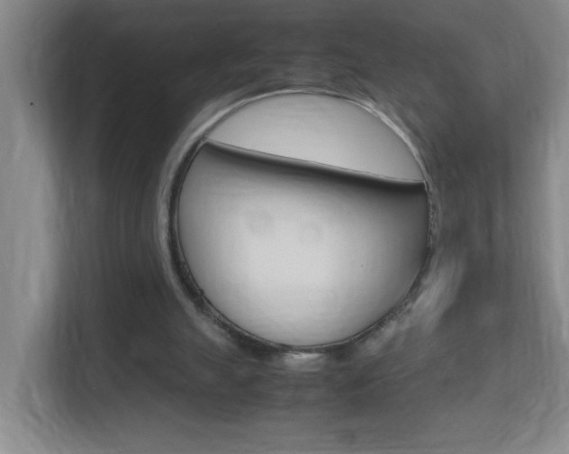 X0000113870055200909241014