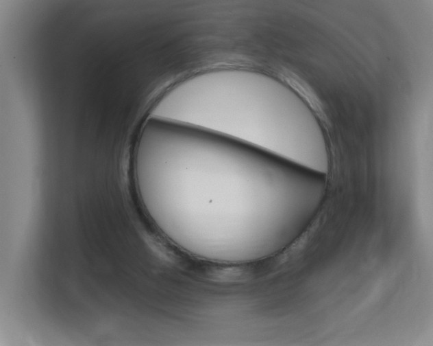 X0000113870058200909241014