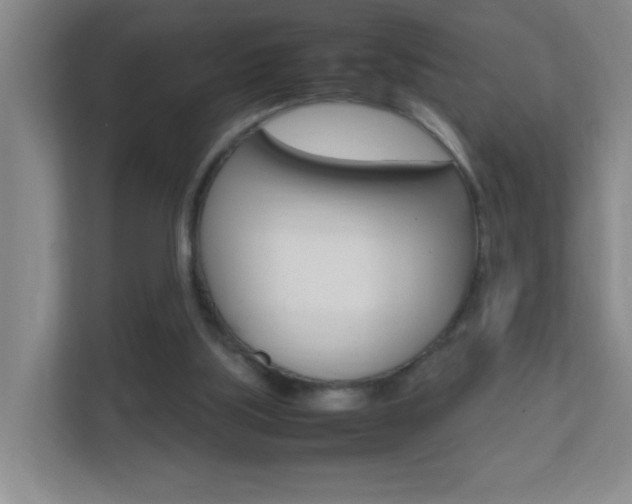 X0000113870059200909241014