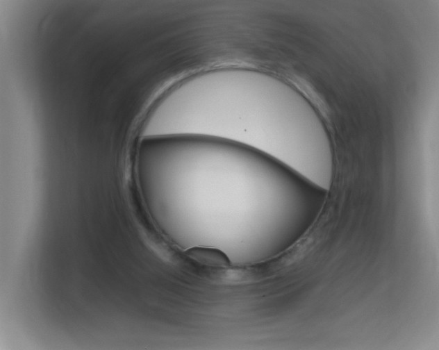 X0000113870060200909241014