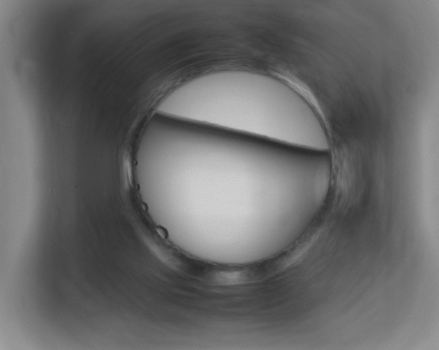 X0000113870061200909241014