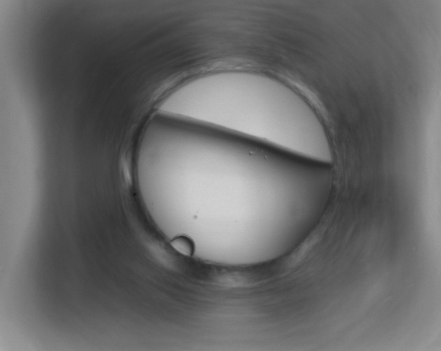 X0000113870062200909241014