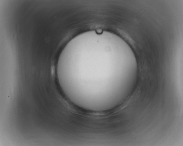 X0000113870067200909241014