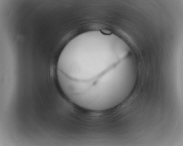 X0000113870071200909241015