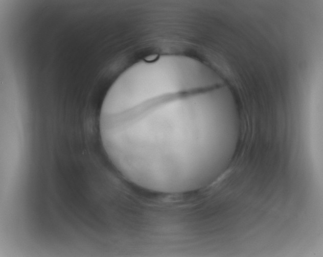 X0000113870078200909241015