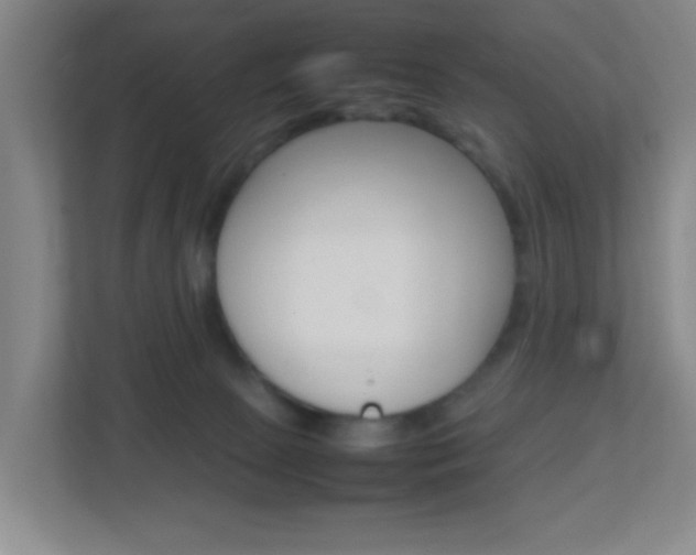 X0000113870081200909241015