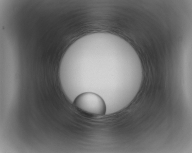 X0000113870084200909241015