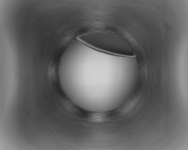 X0000113870088200909241015