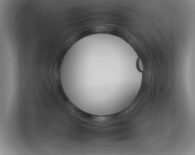 X0000113870091200909241015