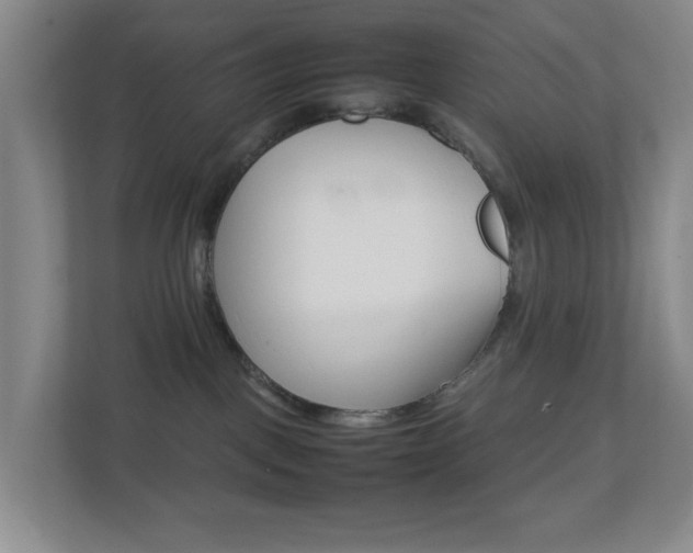 X0000113870093200909241015