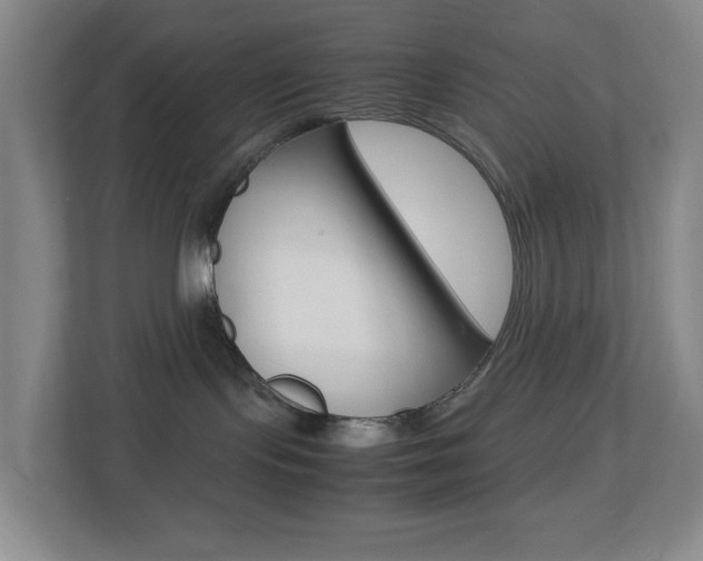 X0000113870095200909241015