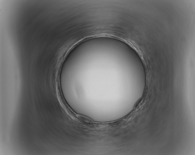 X0000113870097200909241014