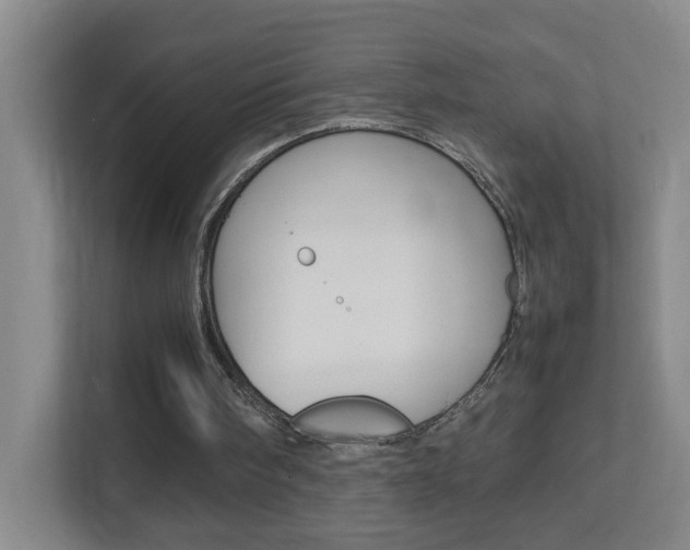 X0000113870098200909241014