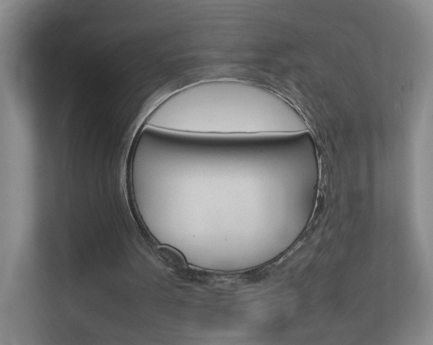 X0000113870099200909241014