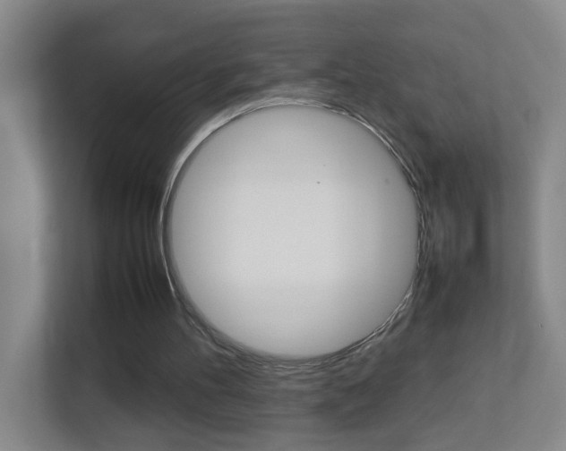 X0000113870100200909241014