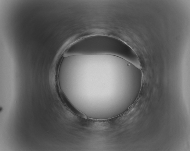 X0000113870101200909241014